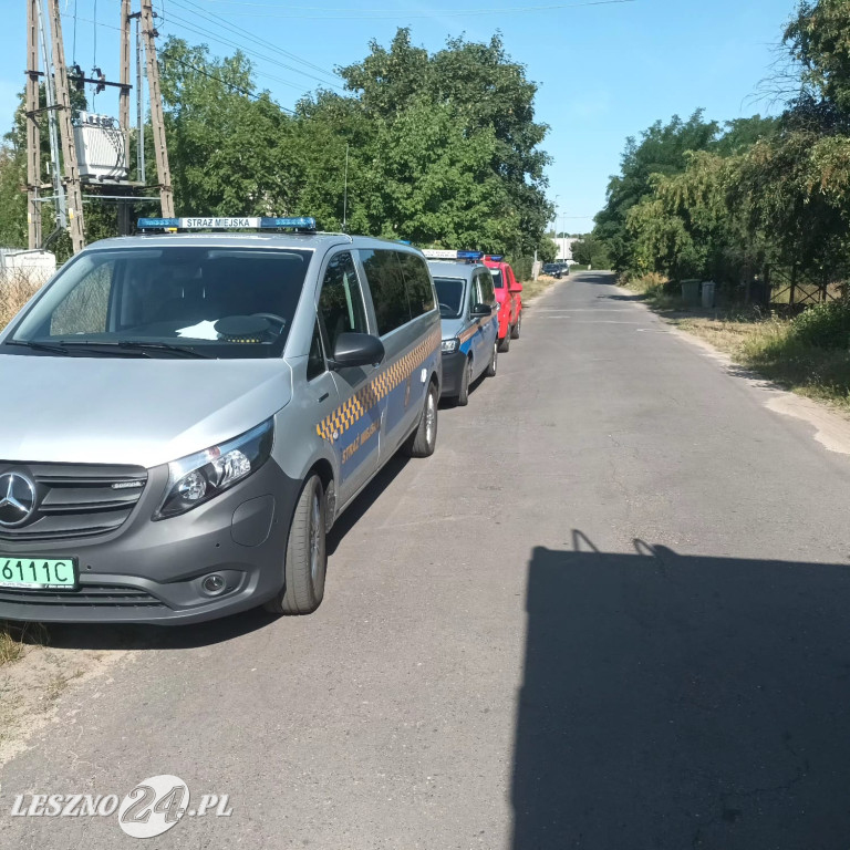 Na działkę miasta zwoził zużyty olej