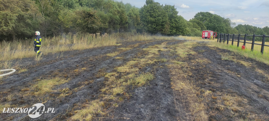 Kolejne pożary podczas żniw