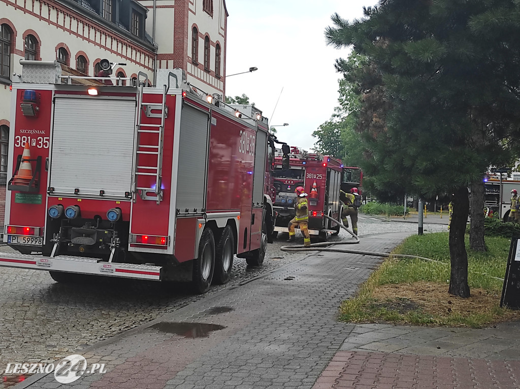 Pożar baru Pastrami Summer w Lesznie