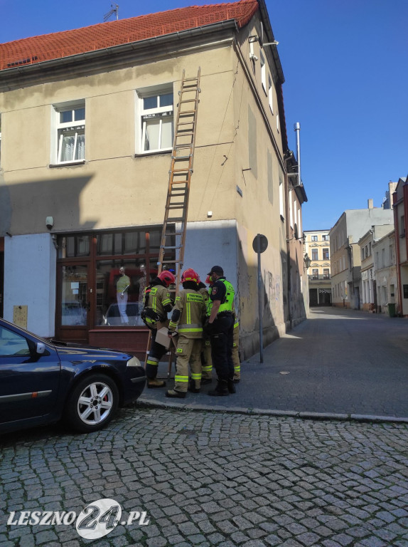 Strażacy ratowali ptaszka