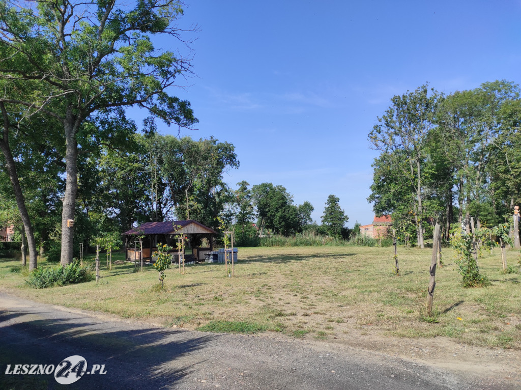 Urokliwy 