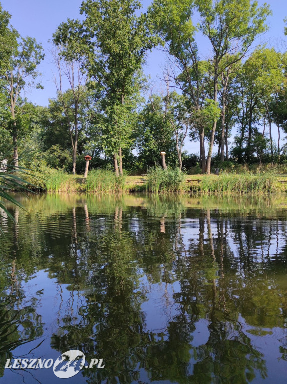 Urokliwy 