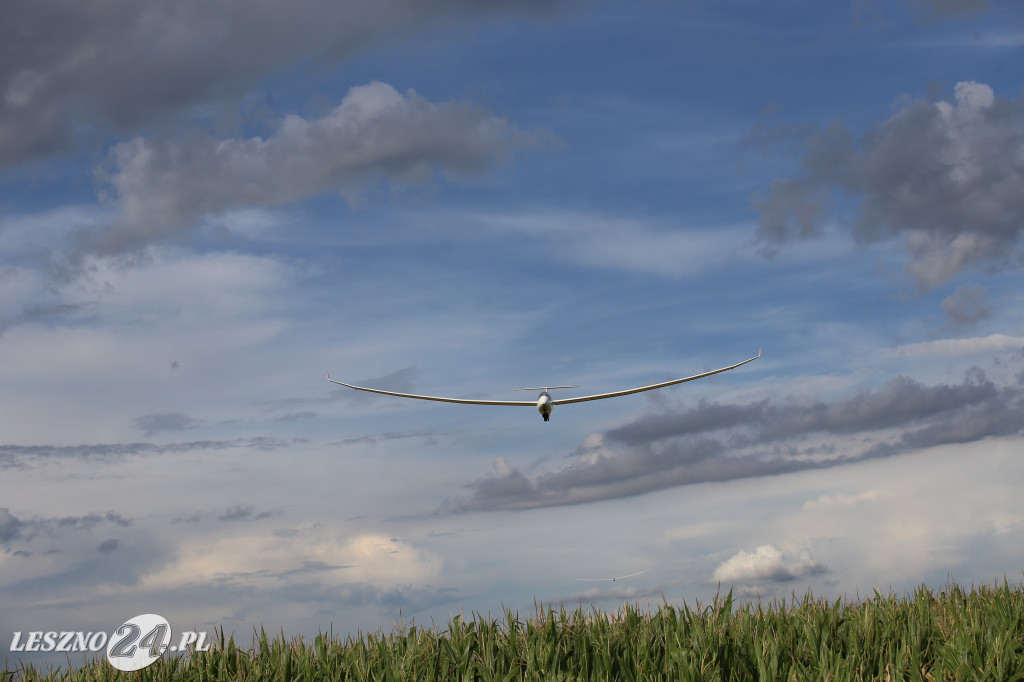 Nie polatali zbyt wiele