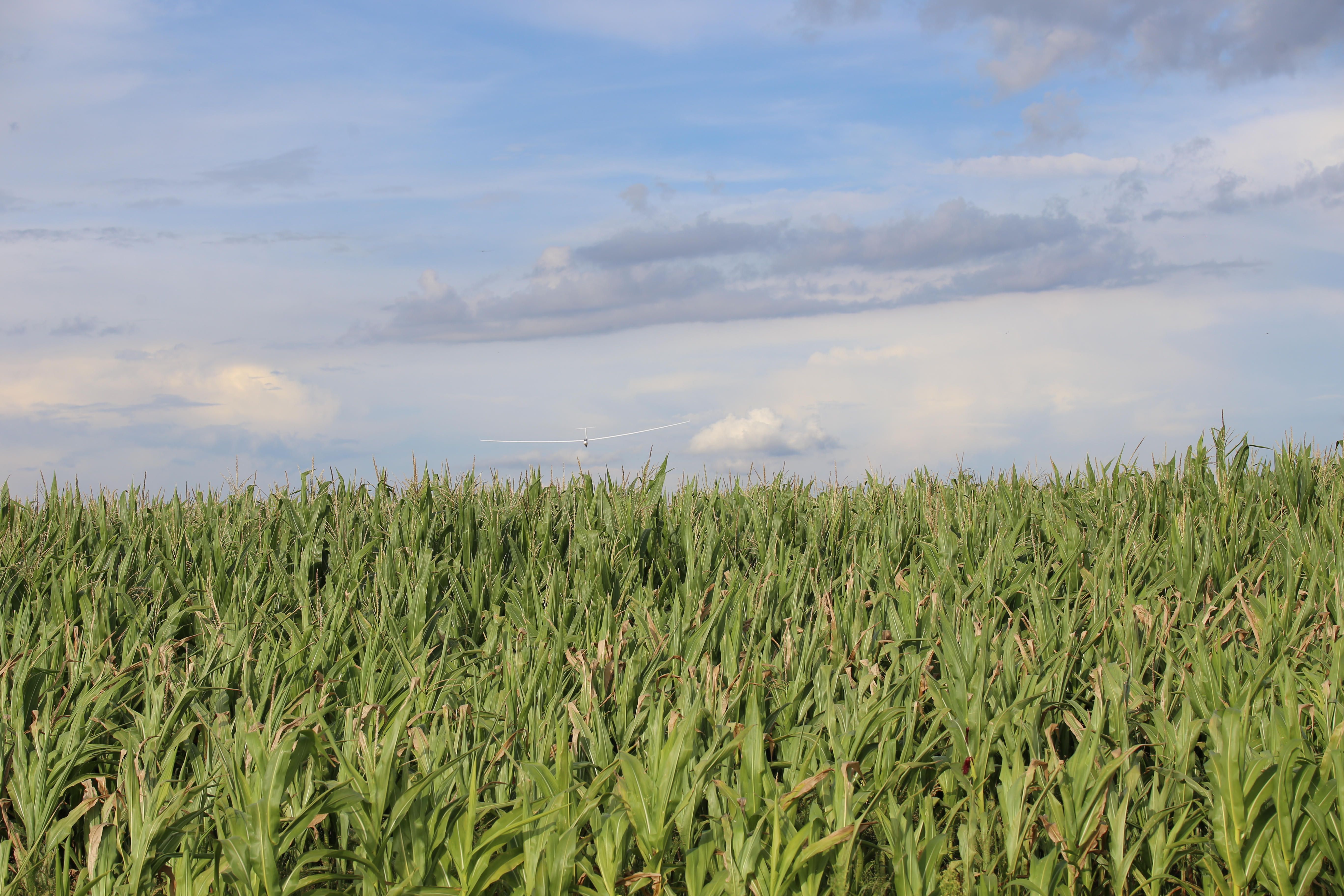 Nie polatali zbyt wiele