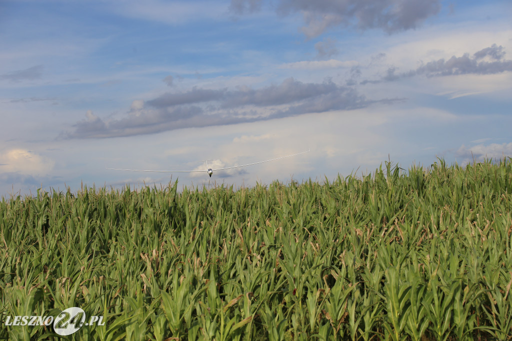 Nie polatali zbyt wiele