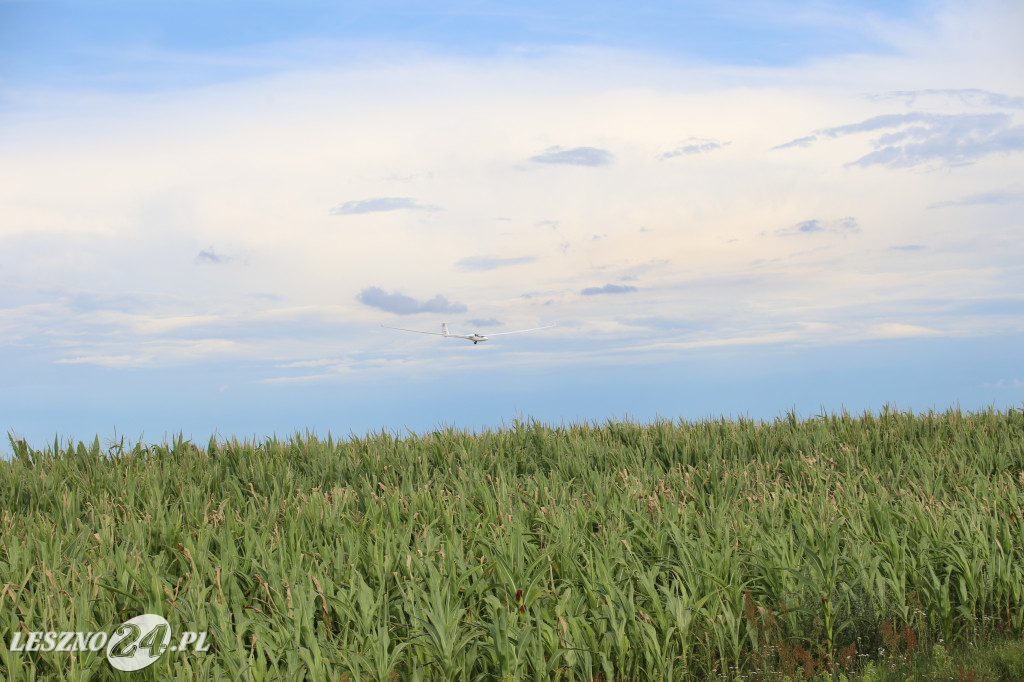 Nie polatali zbyt wiele