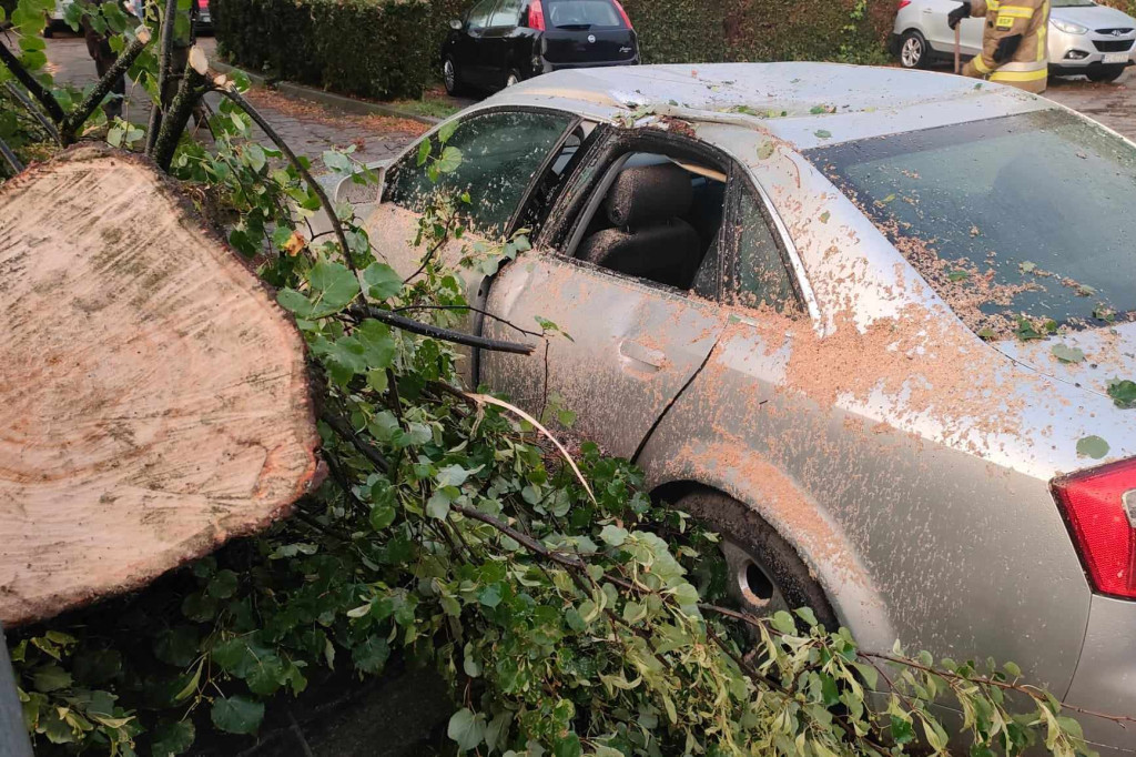 Wiatr złamał drzewo, które spadło na auto