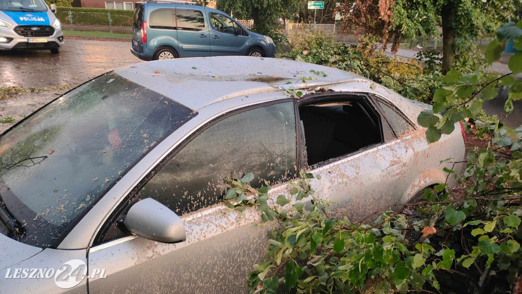 Wiatr złamał drzewo, które spadło na auto