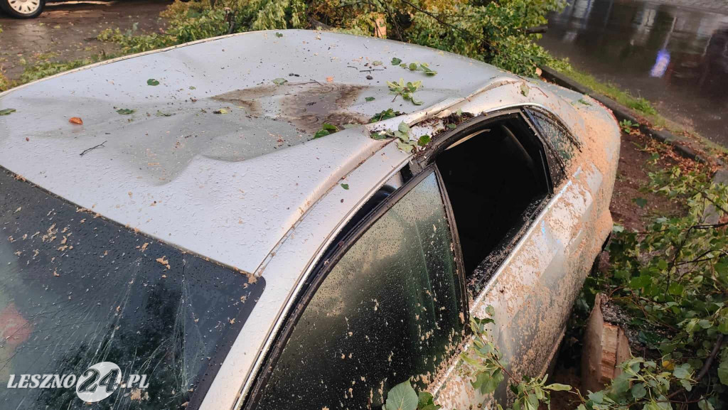 Wiatr złamał drzewo, które spadło na auto