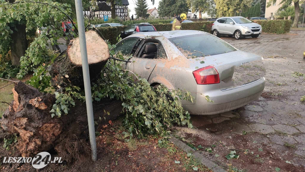 Wiatr złamał drzewo, które spadło na auto