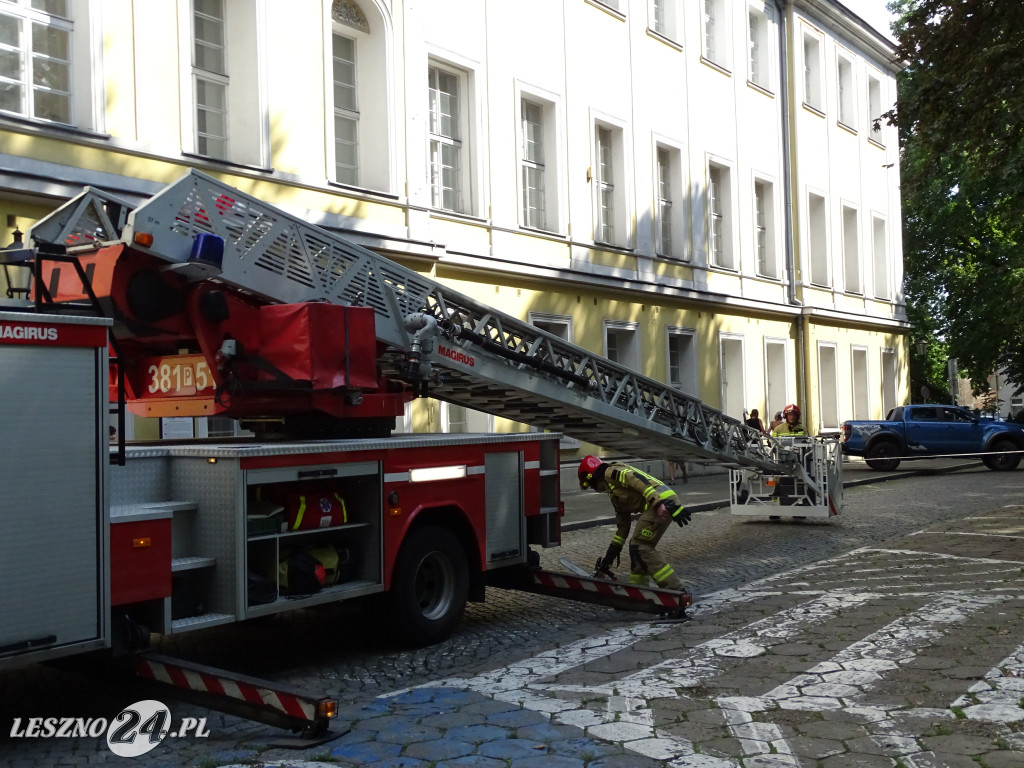 Niebezpieczne drzewo w parku w Lesznie