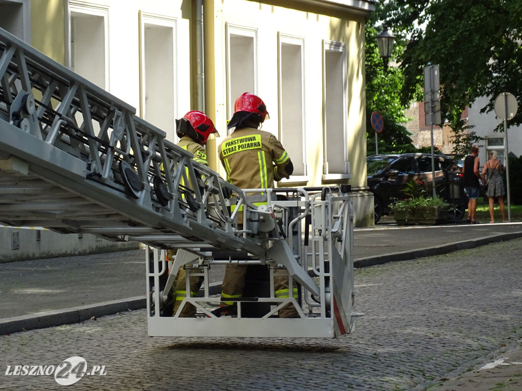 Niebezpieczne drzewo w parku w Lesznie