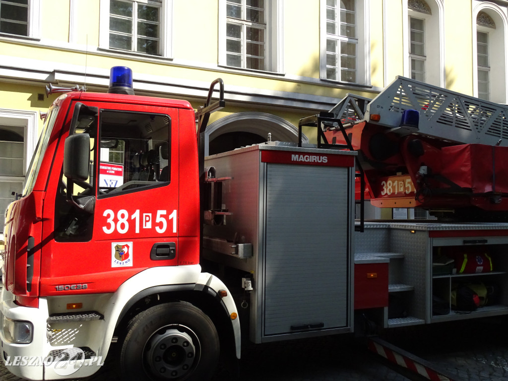 Niebezpieczne drzewo w parku w Lesznie