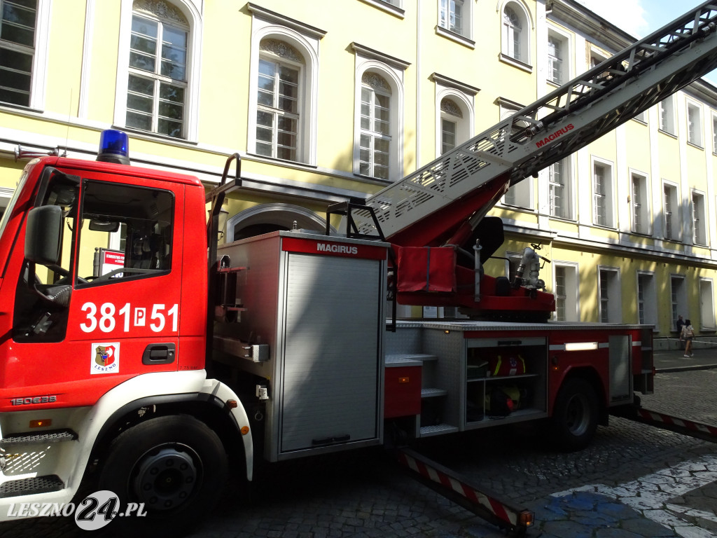 Niebezpieczne drzewo w parku w Lesznie