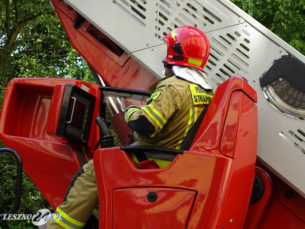 Niebezpieczne drzewo w parku w Lesznie