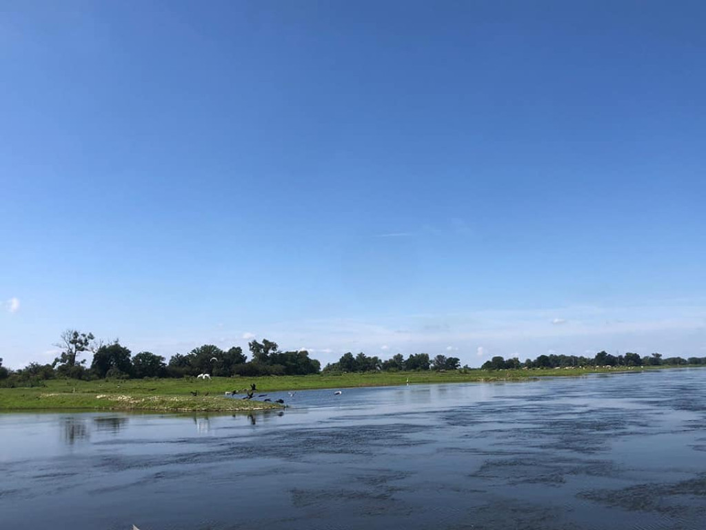 Dopłynął do Szczecina i płynie do Bałtyku