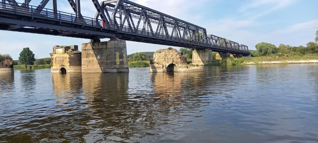 Dopłynął do Szczecina i płynie do Bałtyku