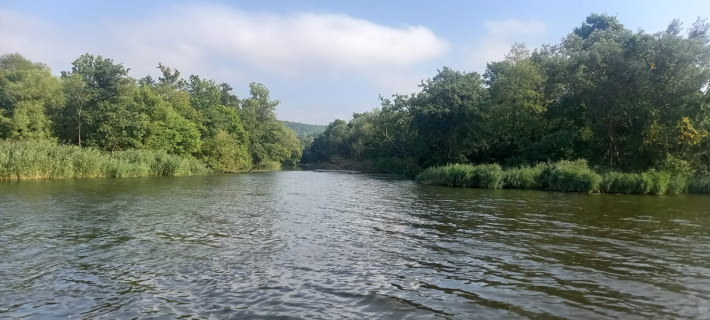 Dopłynął do Szczecina i płynie do Bałtyku