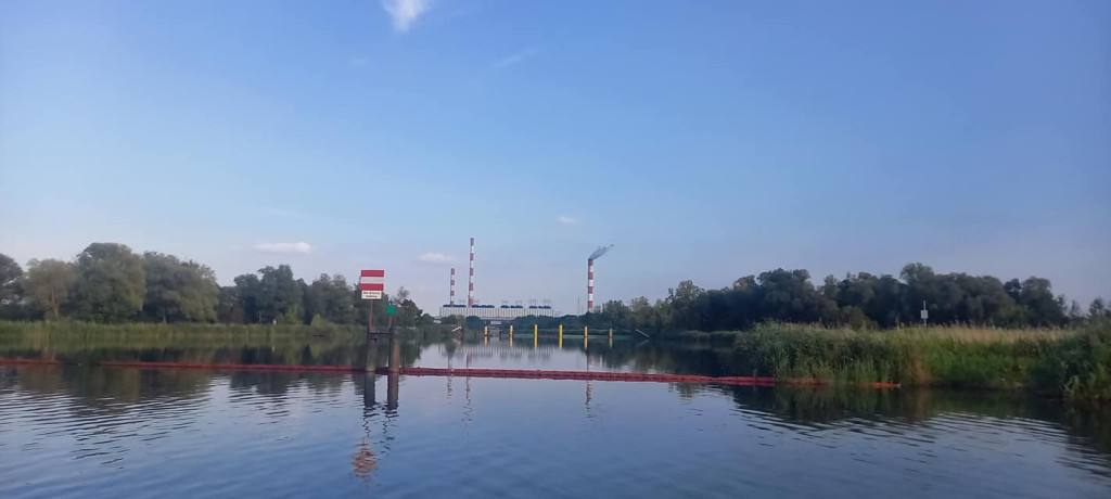 Dopłynął do Szczecina i płynie do Bałtyku