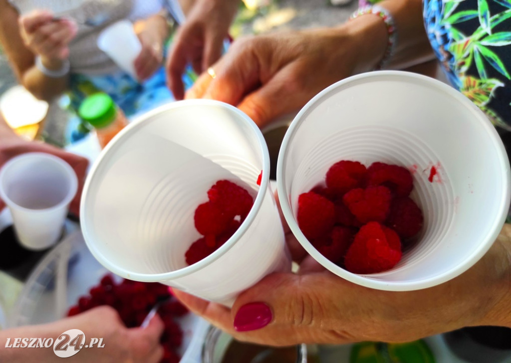Piknik leszczyńskiego stowarzyszenia
