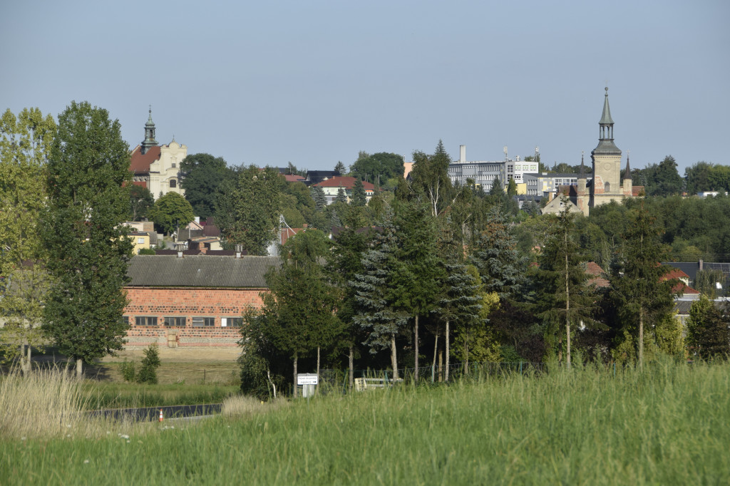 Droga Osieczna - Goniembice prawie gotowa