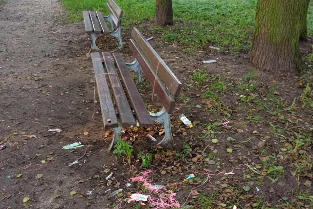 Bałagan w parku na Gronowie