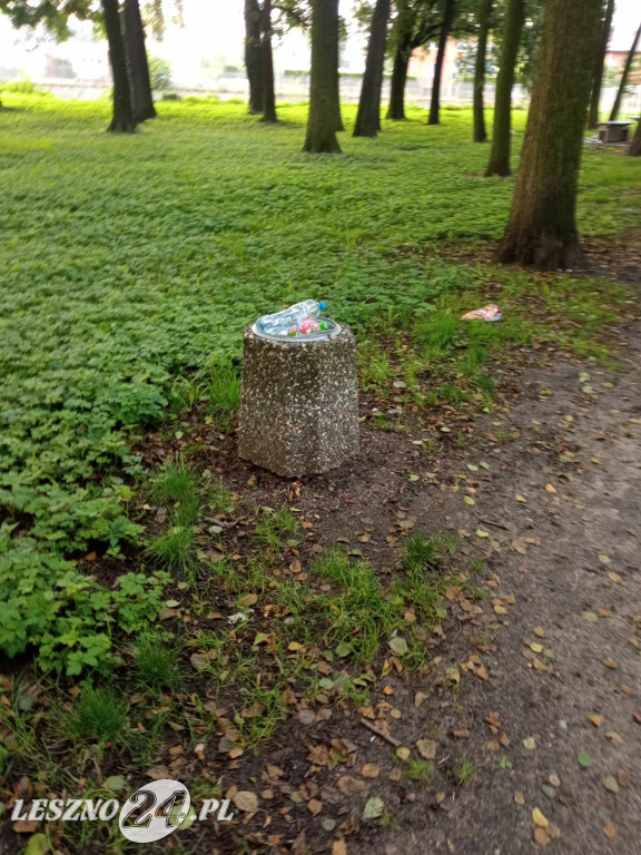 Bałagan w parku na Gronowie