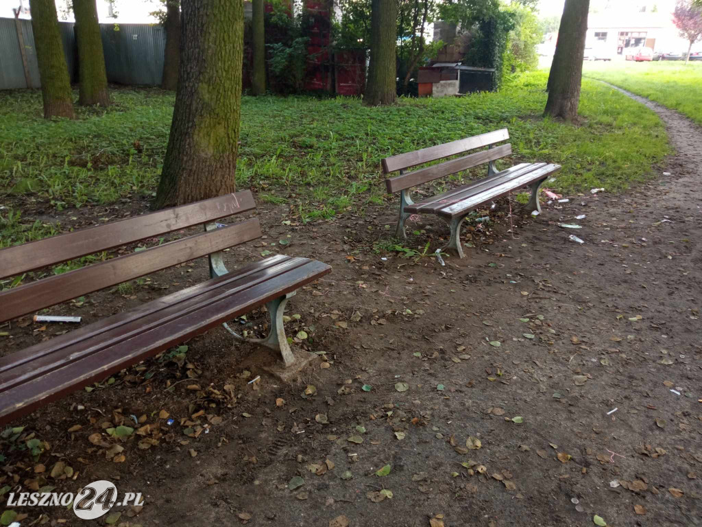 Bałagan w parku na Gronowie