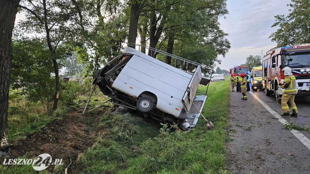 Bus uderzył w drzewo