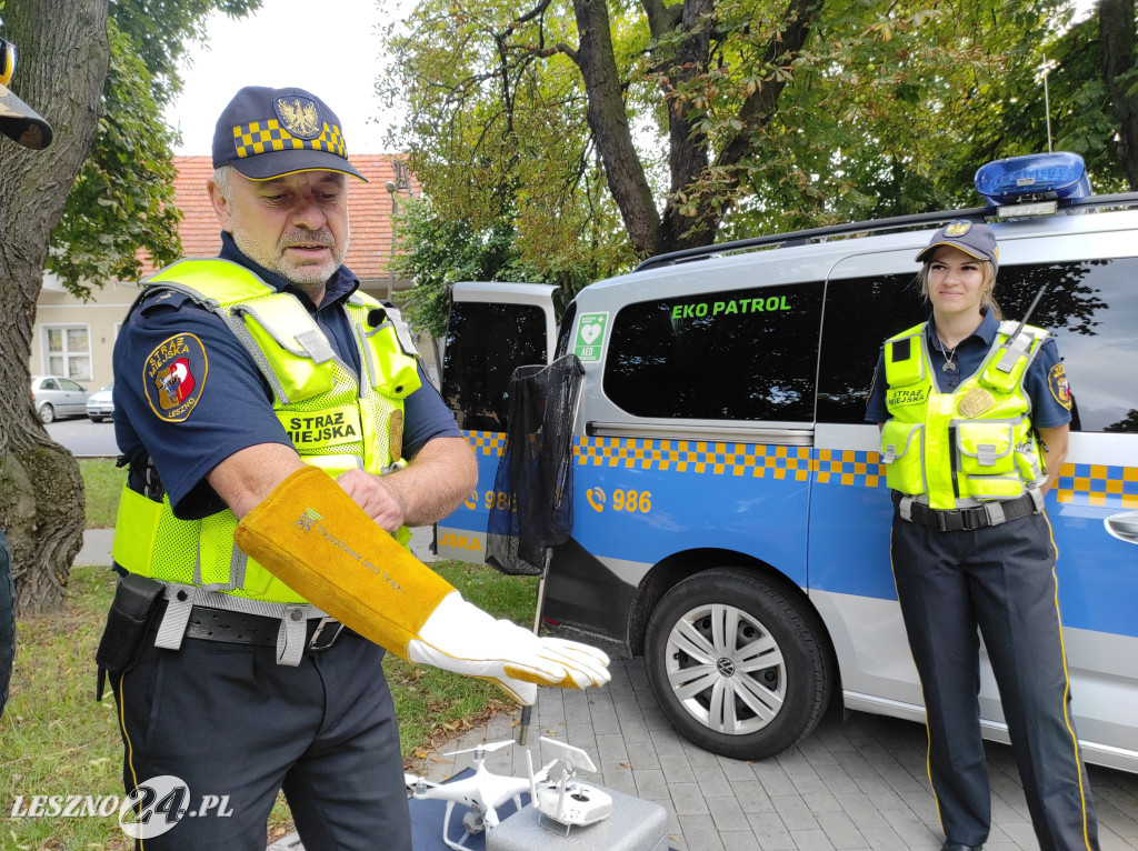 Ekologiczny piknik w Zaborowe