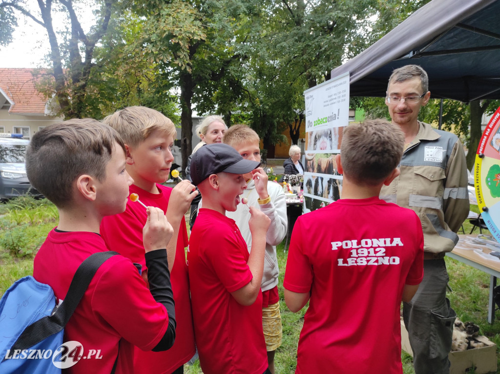 Ekologiczny piknik w Zaborowe