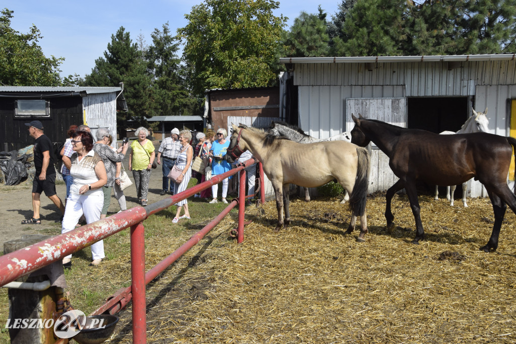Piknik w ośrodku Niewidzialny Świat