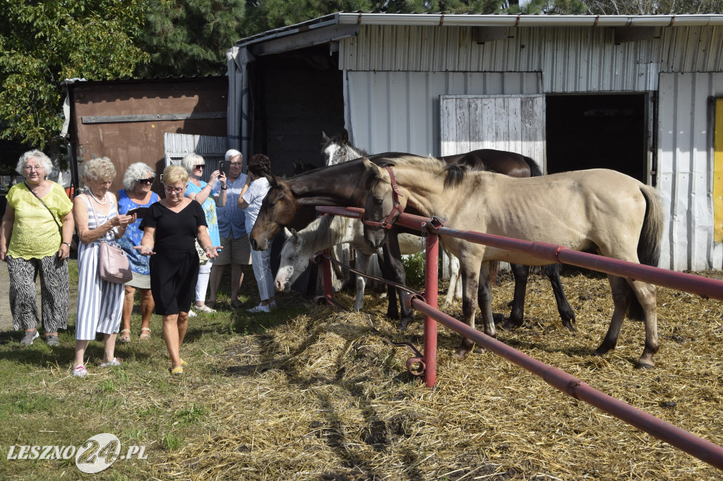 Piknik w ośrodku Niewidzialny Świat