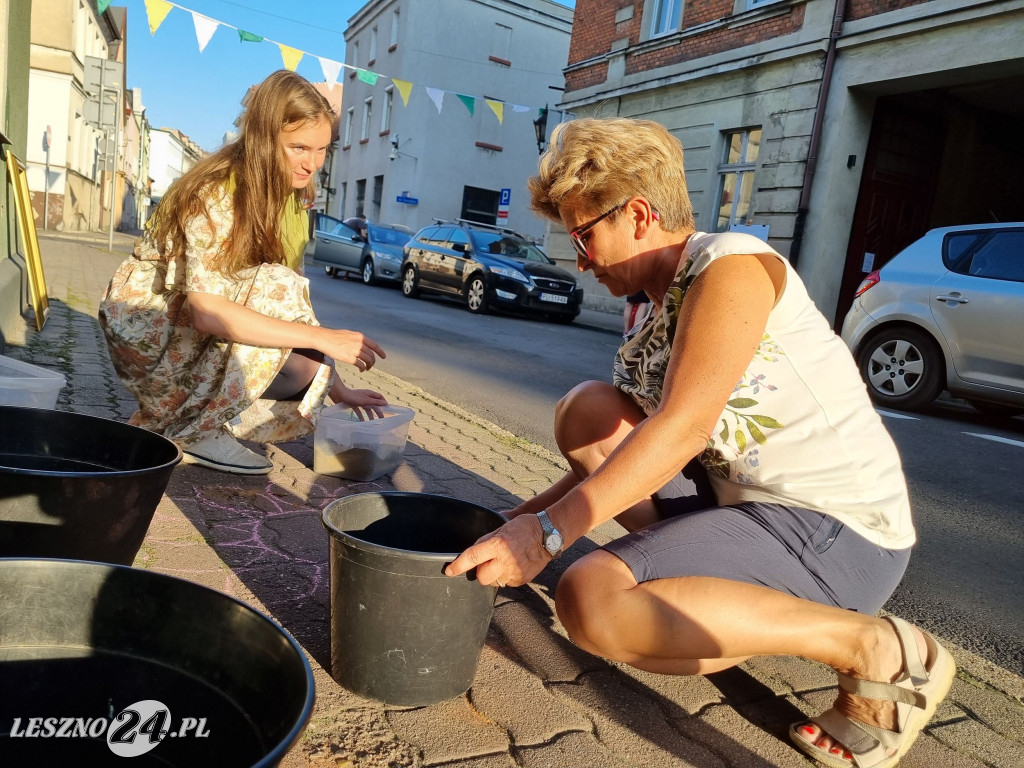 Imieniny ul. Łaziebnej w Lesznie