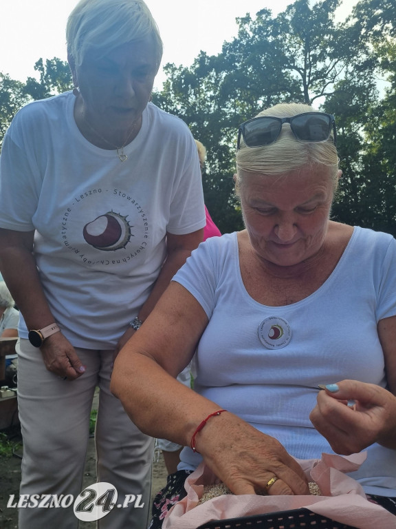 Wspólny piknik dwóch organizacji