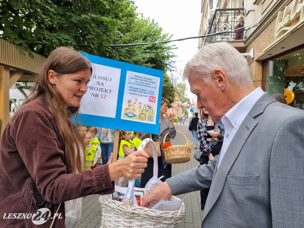 Głosuj na projekt nr 12