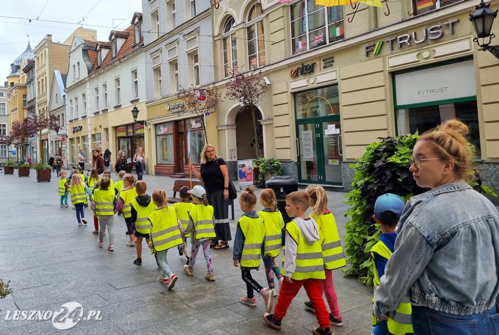 Głosuj na projekt nr 12