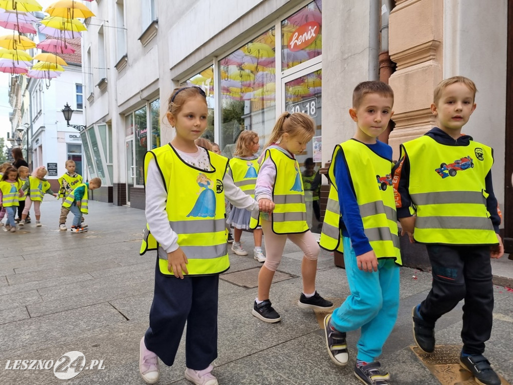 Głosuj na projekt nr 12