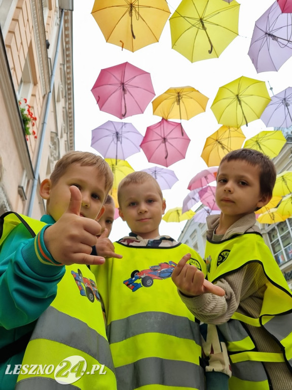 Głosuj na projekt nr 12