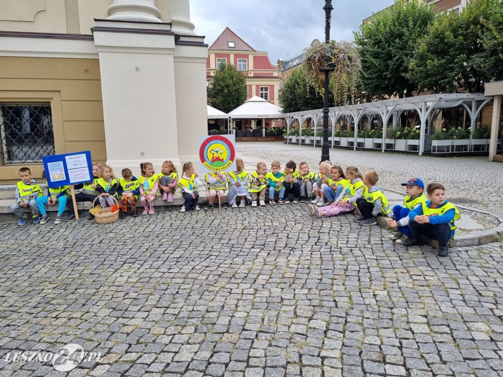 Głosuj na projekt nr 12