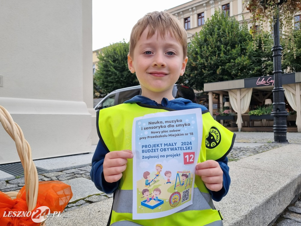 Głosuj na projekt nr 12