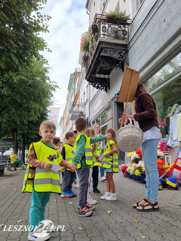 Głosuj na projekt nr 12