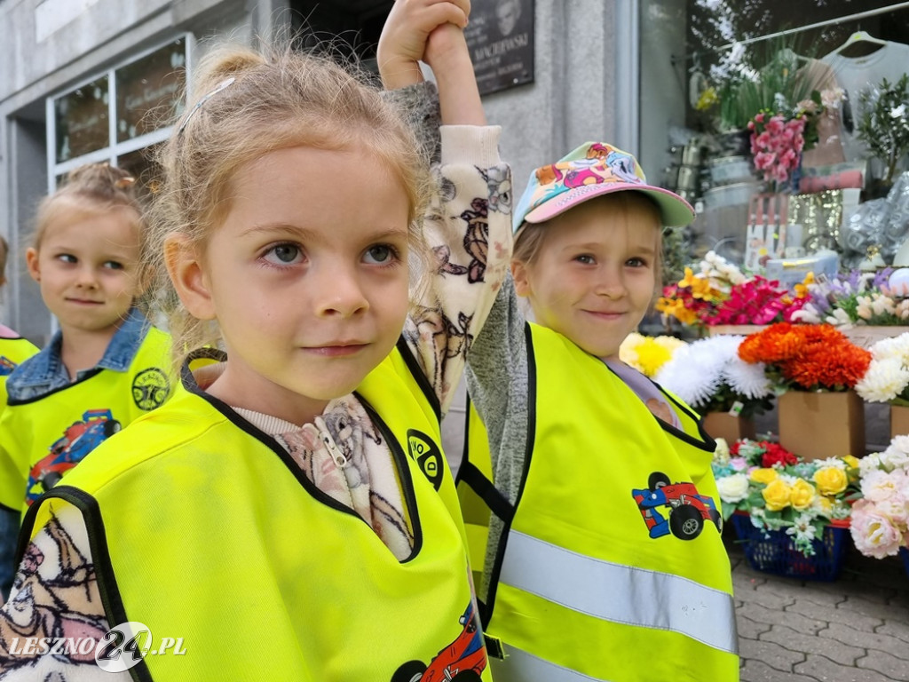 Głosuj na projekt nr 12