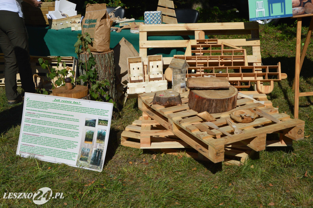 Piknik na Polanie Trzech Dębów w Karczmie Borowej