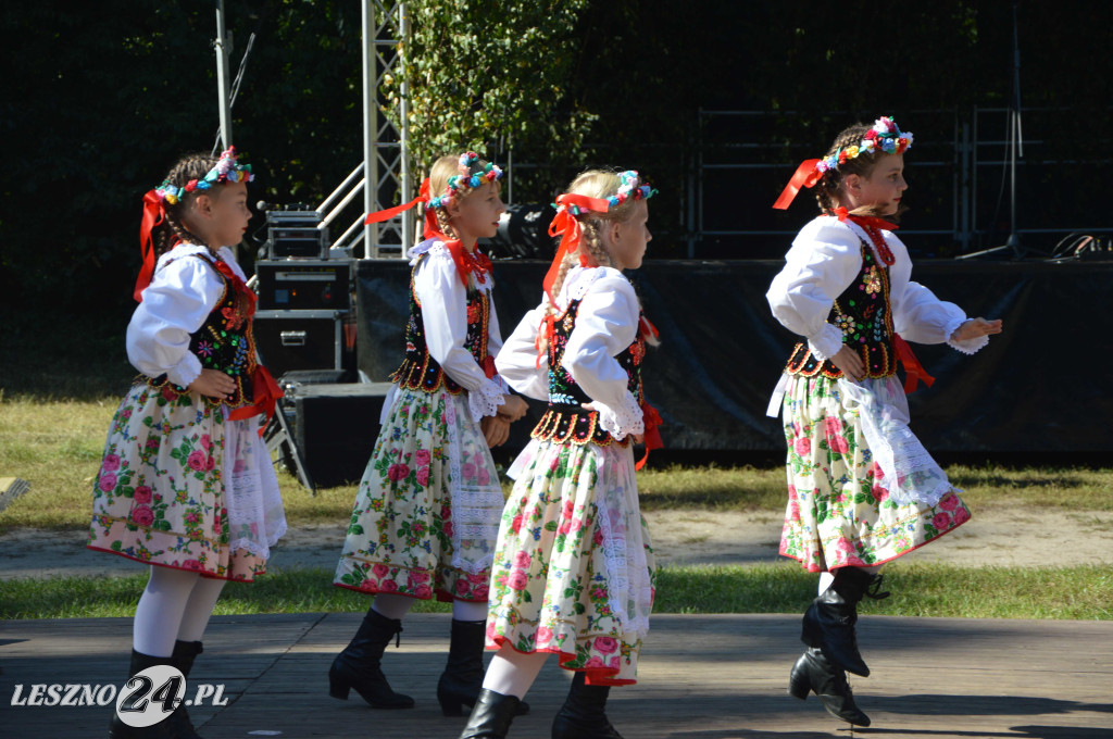 Piknik na Polanie Trzech Dębów w Karczmie Borowej
