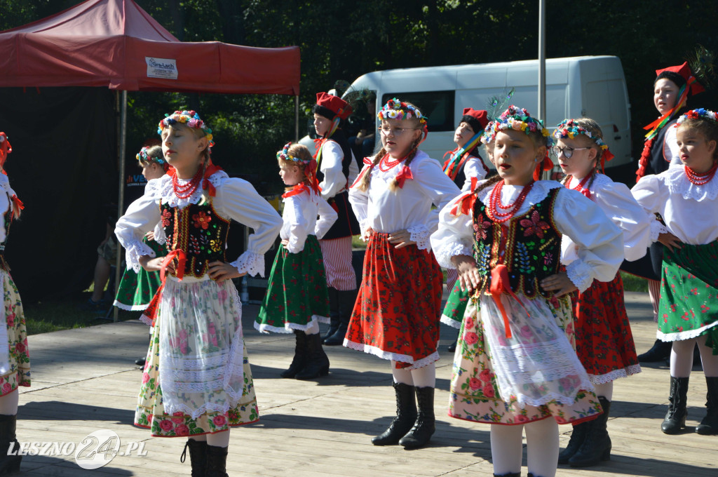 Piknik na Polanie Trzech Dębów w Karczmie Borowej