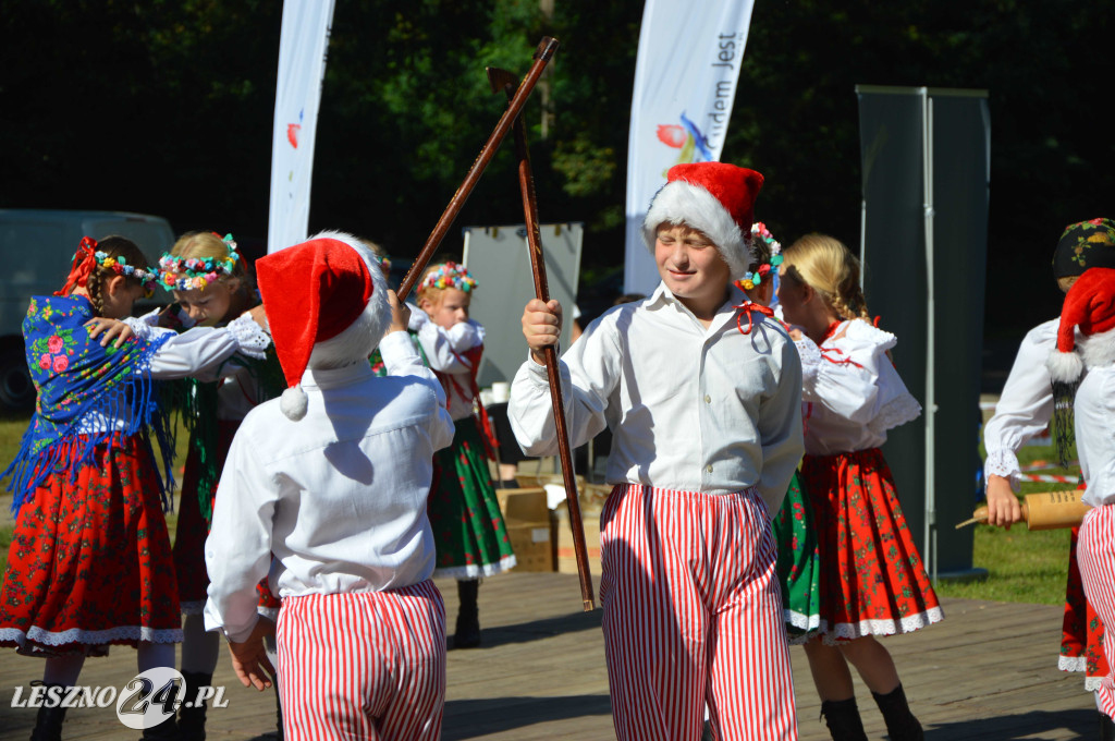 Piknik na Polanie Trzech Dębów w Karczmie Borowej
