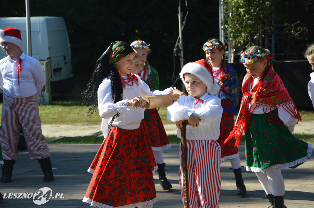Piknik na Polanie Trzech Dębów w Karczmie Borowej