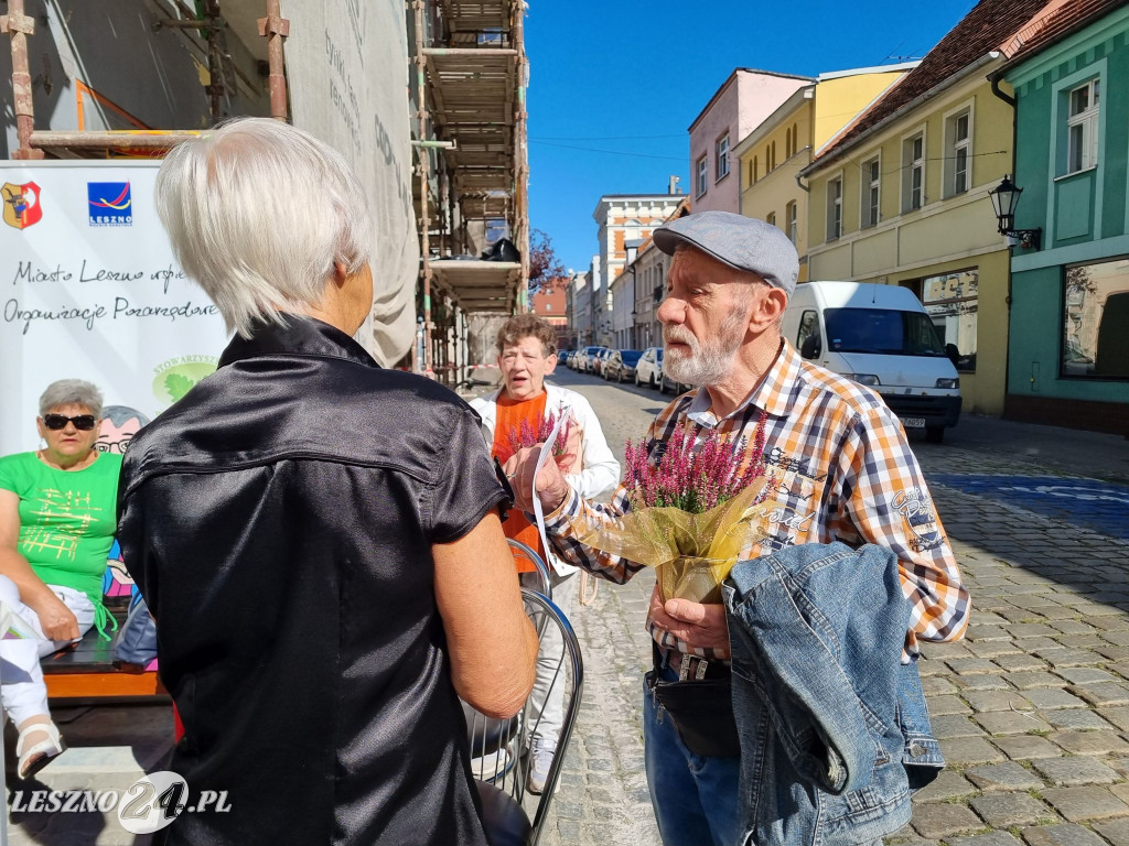 Wrzosowa ul. Leszczyńskich