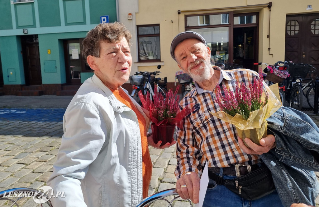 Wrzosowa ul. Leszczyńskich